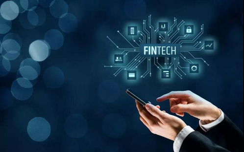 掌閱科技連板背后的力量 信息技術(shù)咨詢(xún)服務(wù)的崛起與資本市場(chǎng)的熱捧