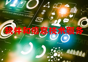 軟件和信息技術(shù)服務(wù)行業(yè)運(yùn)行態(tài)勢(shì)與競(jìng)爭(zhēng)格局分析——聚焦信息技術(shù)咨詢(xún)服務(wù)